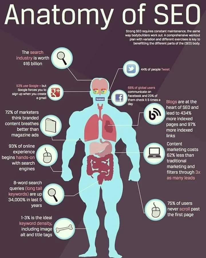 "Anatomy of SEO" infographic with SEO statistics around a body figure