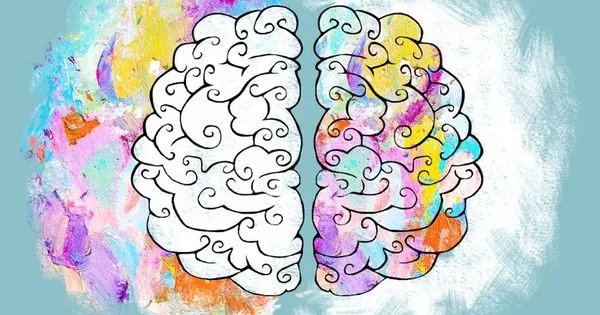 Colorful illustration of left and right brain hemispheres
