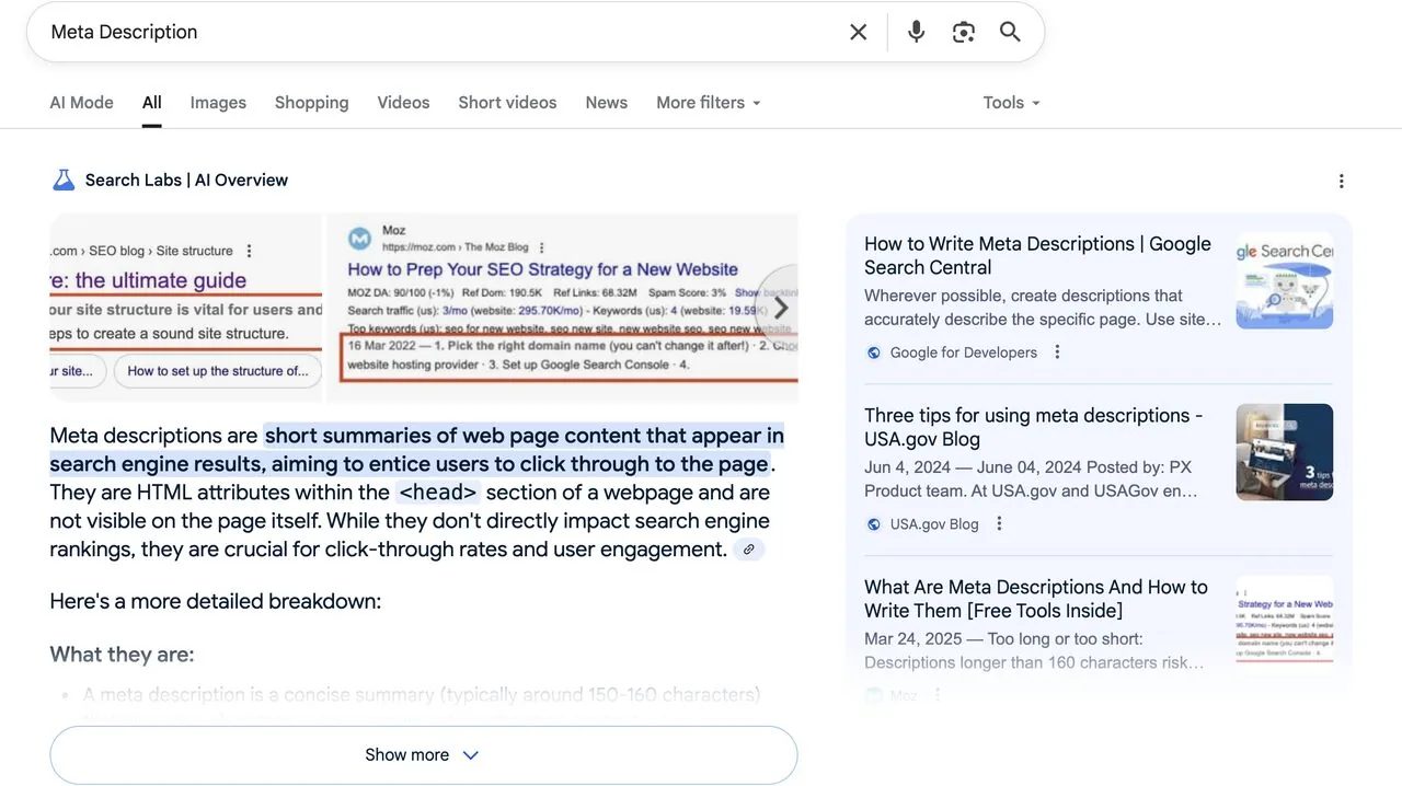 Google results for "Meta Description" with AI Overview