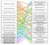 Low-res Sankey diagram mapping categories; labels unreadable