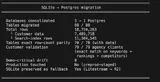 Low-res terminal summary of a SQLite to Postgres migration